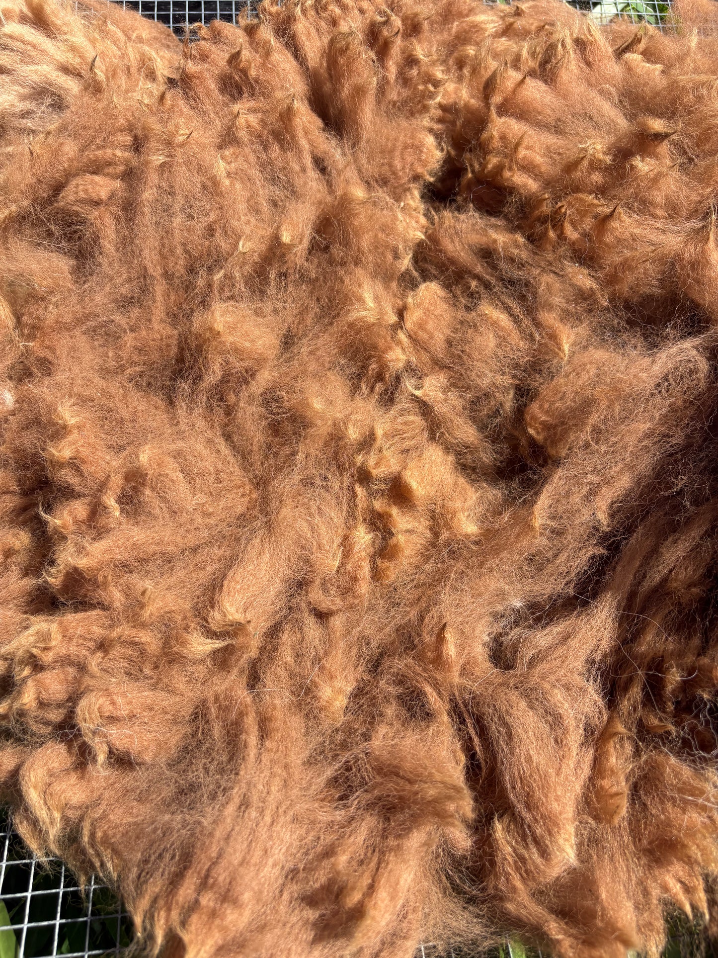 3oz of mystery undyed locks for spinning felting wet felting needle felting and crafts. Wool alpaca mohair