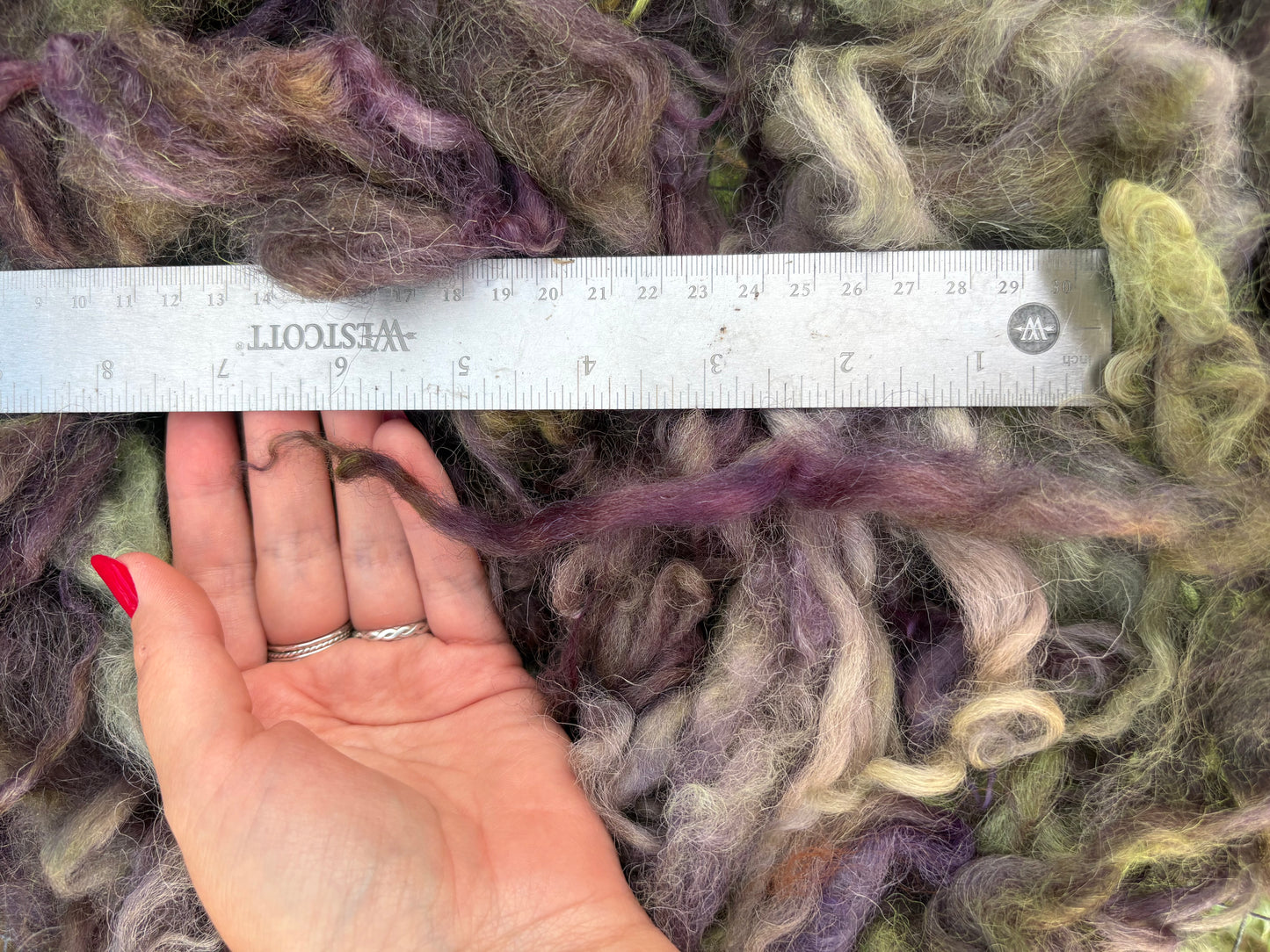 2oz dyed lamb wool locks valais blacknose from “Koeia” spinning felting weaving needle felting.