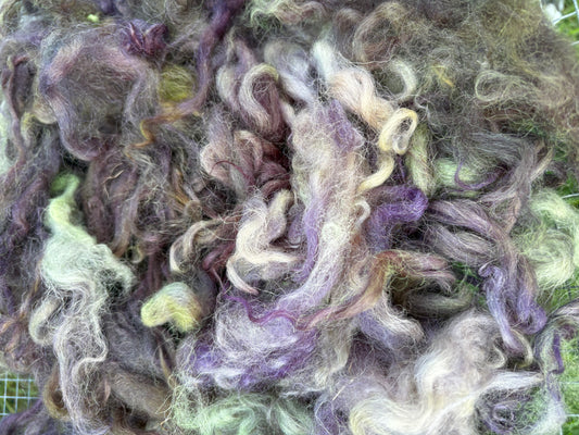 2oz dyed lamb wool locks valais blacknose from “Koeia” spinning felting weaving needle felting.