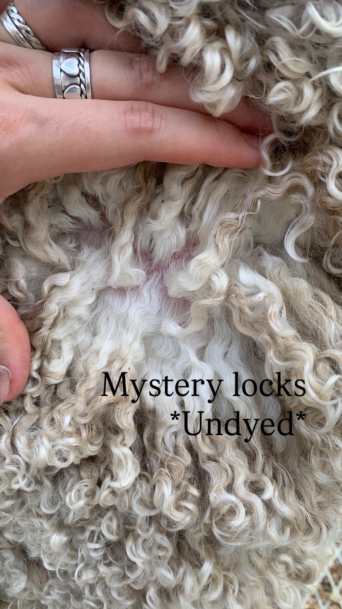 3oz of mystery undyed locks for spinning felting wet felting needle felting and crafts. Wool alpaca mohair