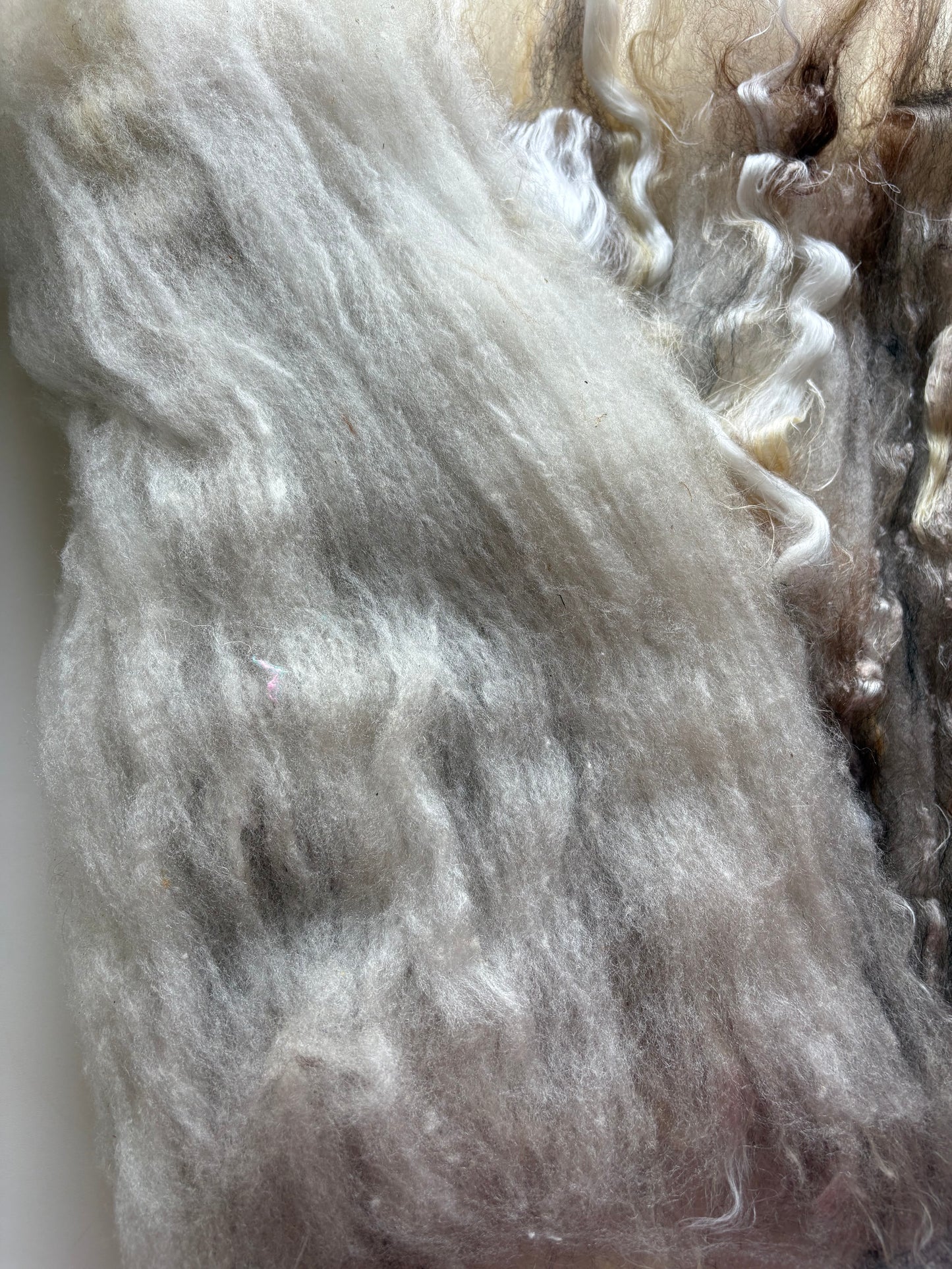 3.40oz chunky scrappy fiber art batt, alpaca wool sari silk waste mohair suri alpaca flax. multi colored natural