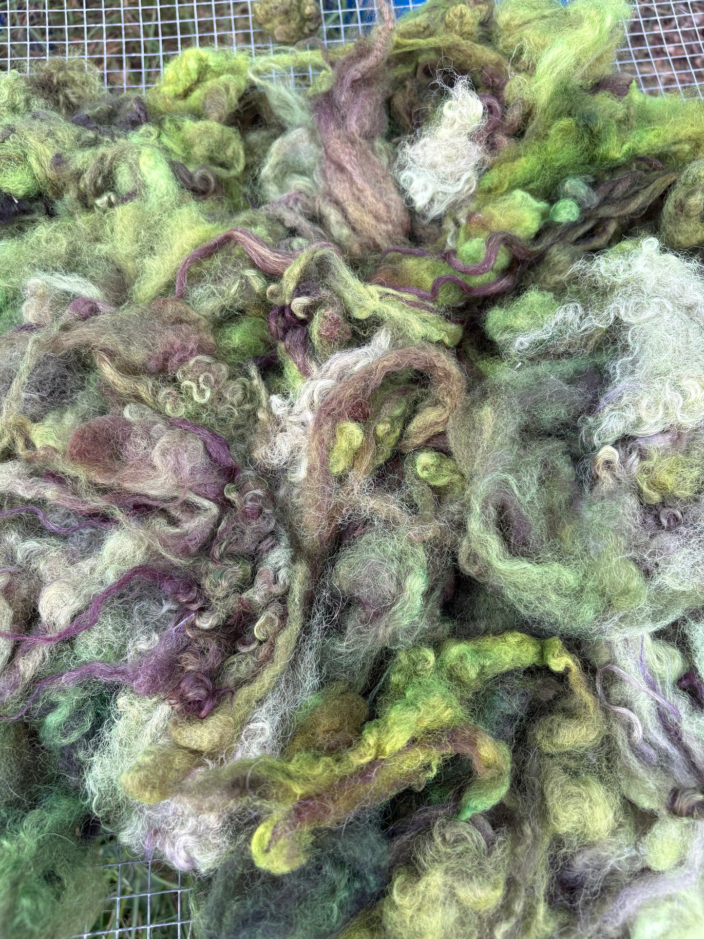 Mohair+wool mixed locks 3oz