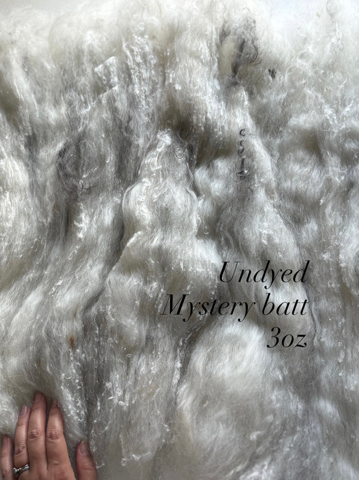 Mystery batt! UNDYED 3oz chunky scrappy fiber art batt, alpaca wool sari silk waste mohair suri alpaca flax. natural