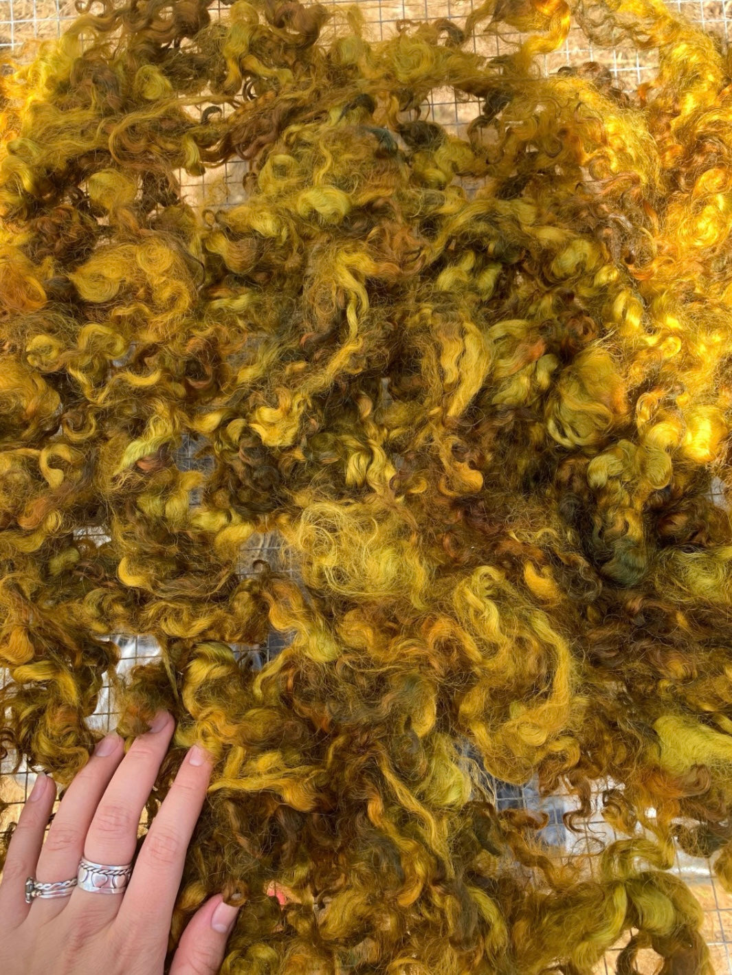 1LB of mystery locks for spinning felting wet felting needle felting and crafts. Dyed and undyed. Wool alpaca mohair