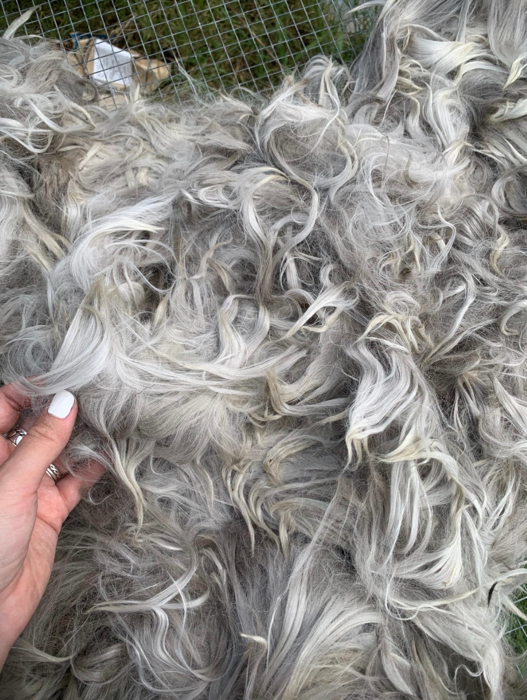 1LB of mystery locks for spinning felting wet felting needle felting and crafts. Dyed and undyed. Wool alpaca mohair