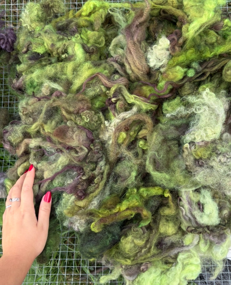 Mohair+wool mixed locks 3oz