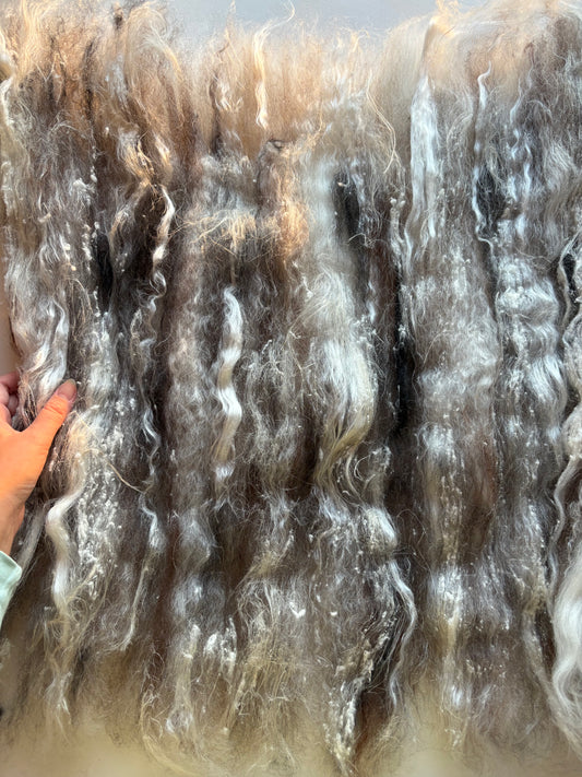 2.60oz UNDYED chunky scrappy fiber art batt, alpaca wool sari silk waste mohair suri alpaca flax. natural